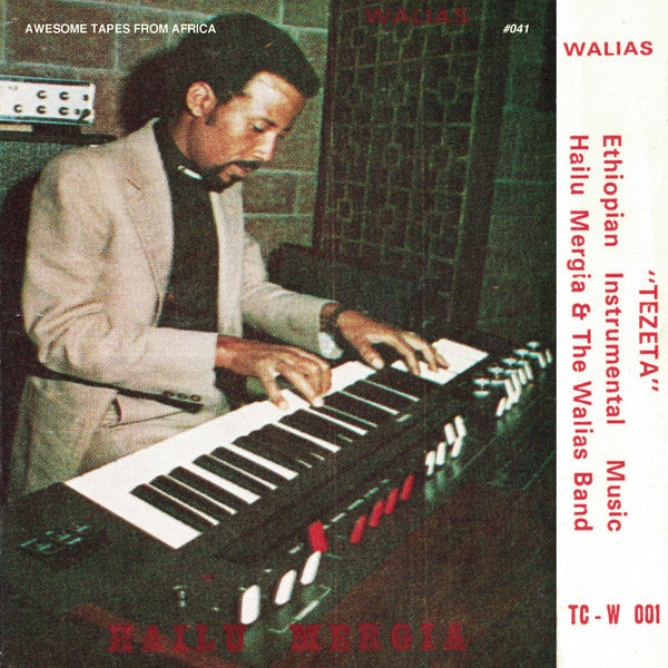 Hailu Mergia - Tezeta (VINYL LP) | NEW Mint (M) Mint (M)-