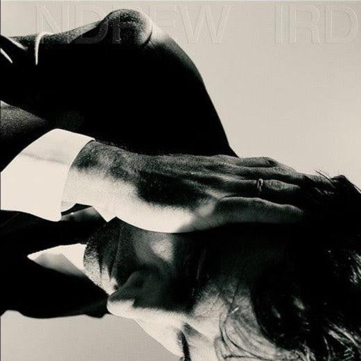 Andrew Bird - Inside Problems [Sky Blue LP] | Mint (M) Mint (M)-