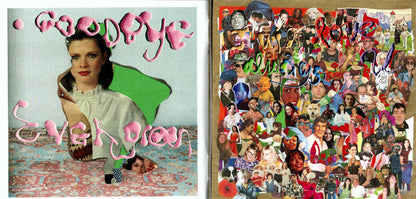 Sufjan Stevens - Javelin (CD) | Mint (M) Mint (M)-