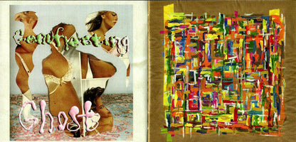 Sufjan Stevens - Javelin (CD) | Mint (M) Mint (M)-