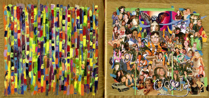 Sufjan Stevens - Javelin (CD) | Mint (M) Mint (M)-