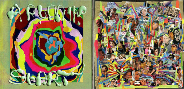 Sufjan Stevens - Javelin (CD) | Mint (M) Mint (M)-