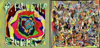 Sufjan Stevens - Javelin (CD) | Mint (M) Mint (M)-