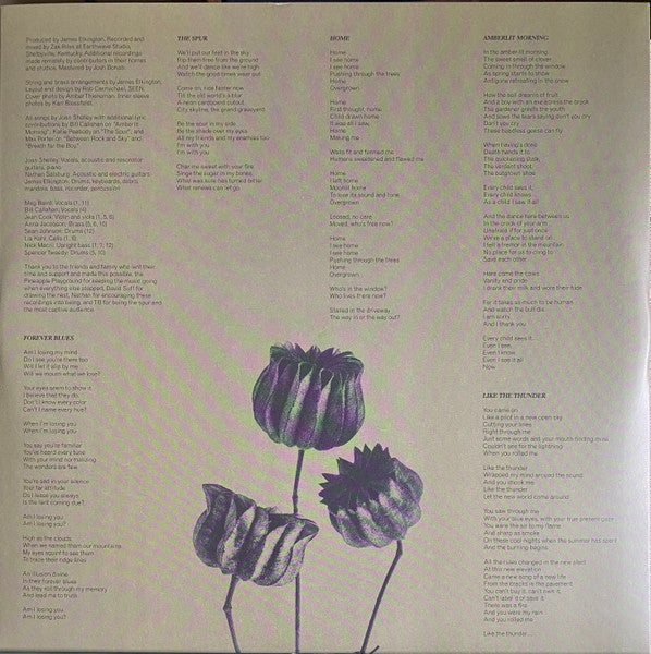 Joan Shelley - The Spur (SILVER VINYL) | Mint (M) Mint (M)-
