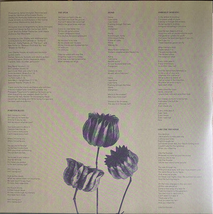 Joan Shelley - The Spur (SILVER VINYL) | Mint (M) Mint (M)-