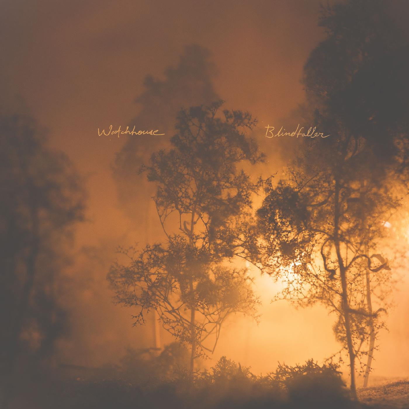 Watchhouse - Blindfaller (BLACK VINYL LP) | NEW Mint (M) Mint (M)-