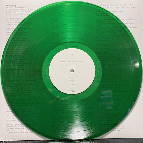 Buck Meek - Haunted Mountain | Mint (M) Mint (M)-