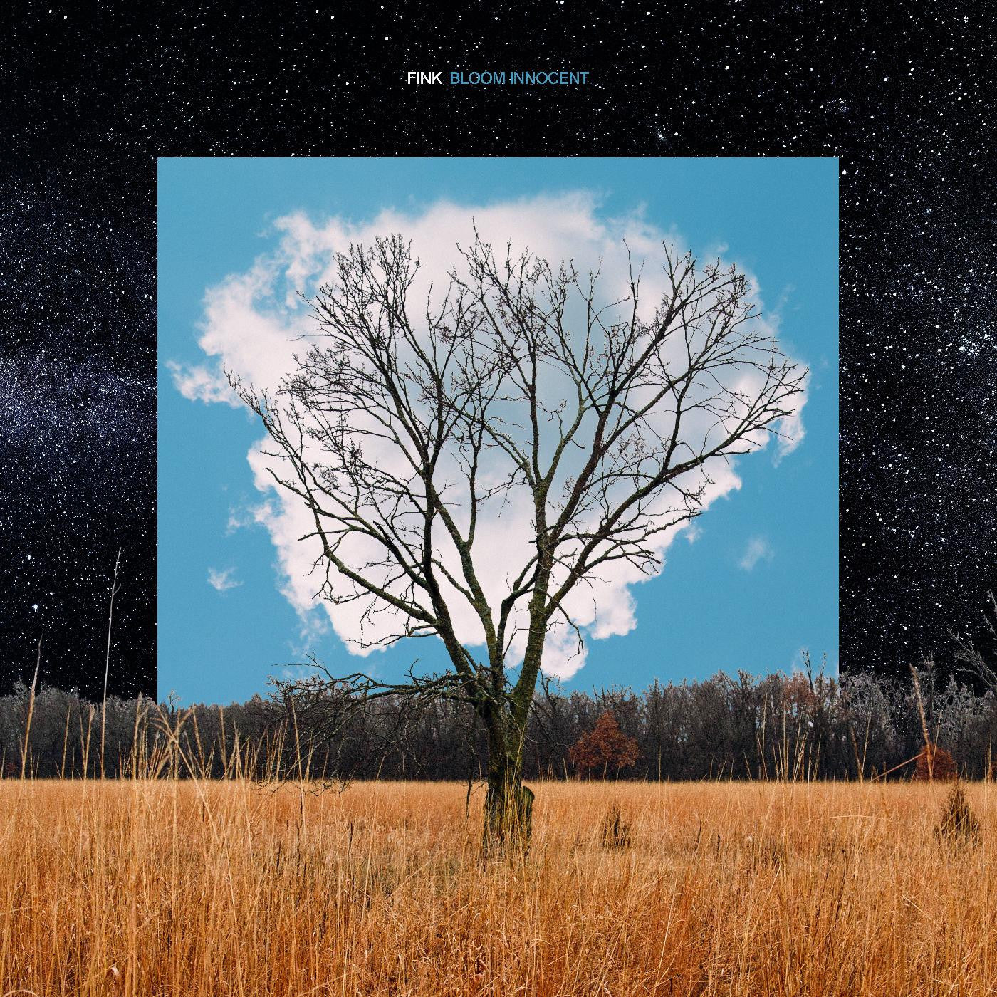 Fink - Bloom Innocent (CD) |-