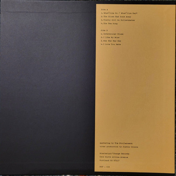 Michael Hurley - Back Home With Drifting Woods (VINYL) | Mint (M) Mint (M)-