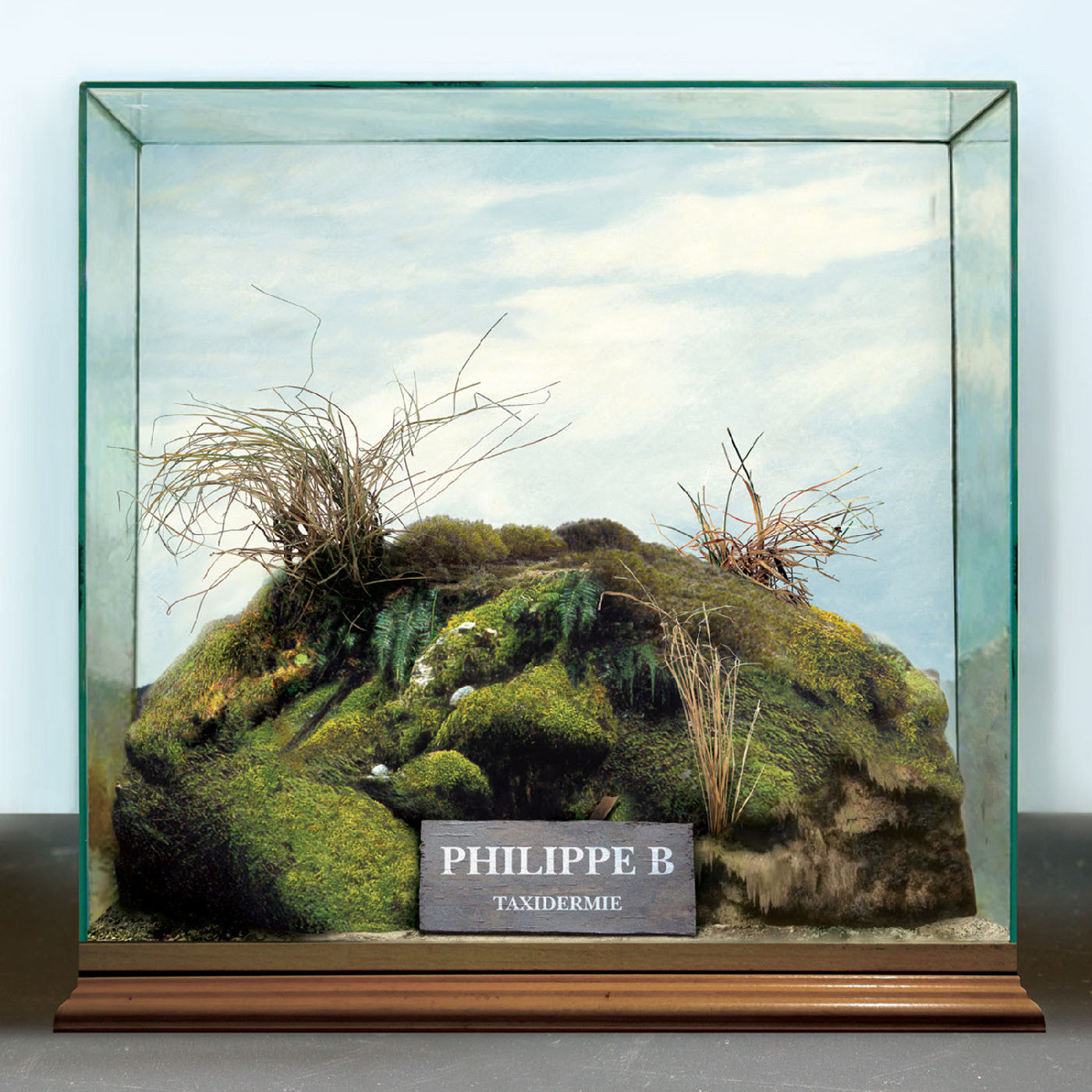 Philippe B - Taxidermie (CD) |-