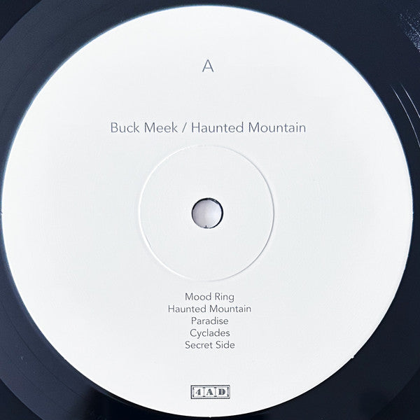 Buck Meek - Haunted Mountain | Mint (M) Mint (M)-