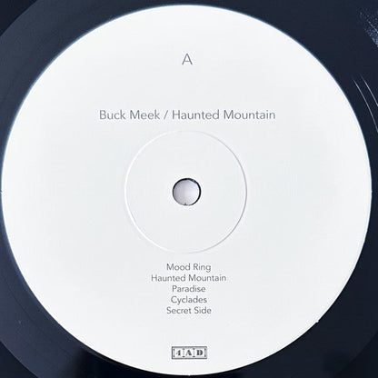 Buck Meek - Haunted Mountain | Mint (M) Mint (M)-