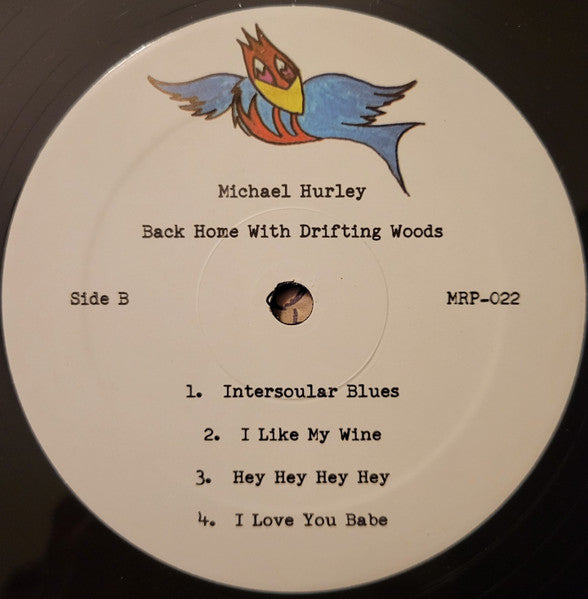 Michael Hurley - Back Home With Drifting Woods (VINYL) | Mint (M) Mint (M)-