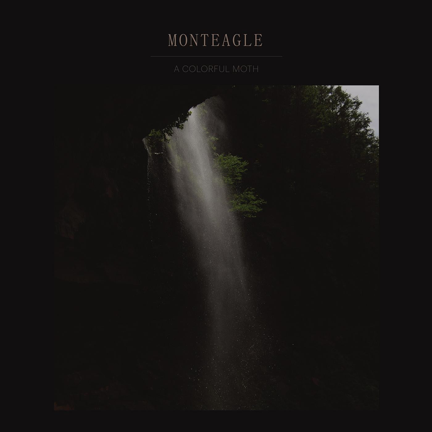 Monteagle - A Colorful Moth |-