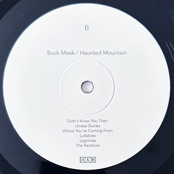 Buck Meek - Haunted Mountain | Mint (M) Mint (M)-
