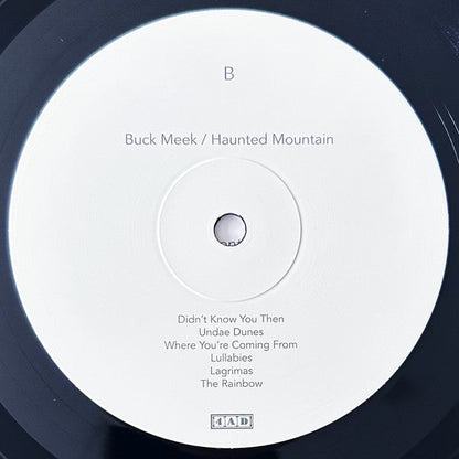 Buck Meek - Haunted Mountain | Mint (M) Mint (M)-