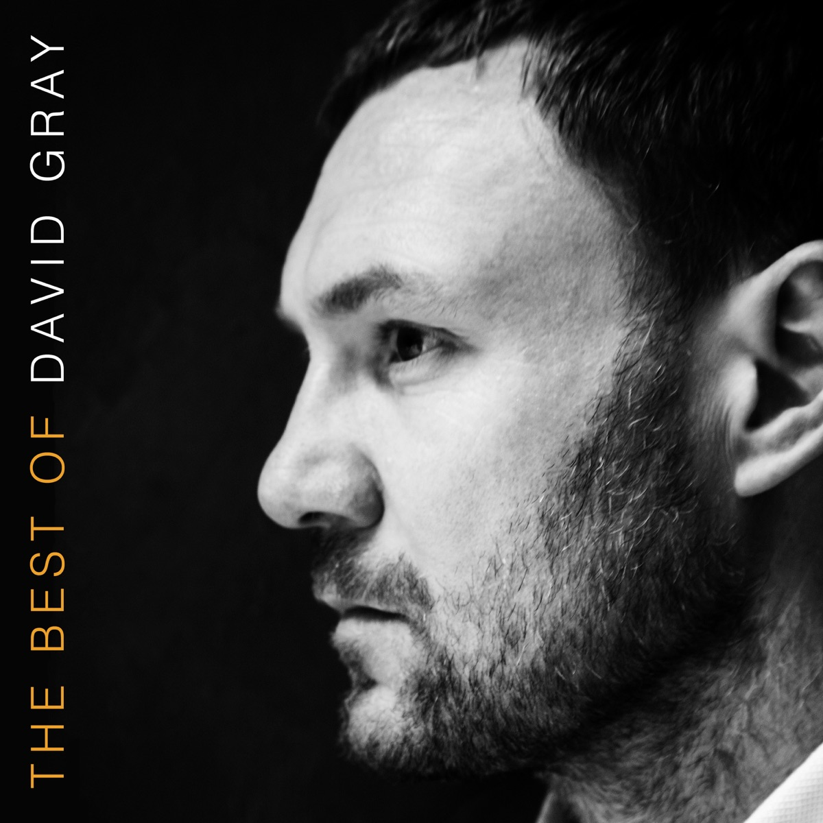 David Gray - The Best Of David Gray (BEST BUY EXCLUSIVE | ORANGE VINYL) | Mint (M) Mint (M)-
