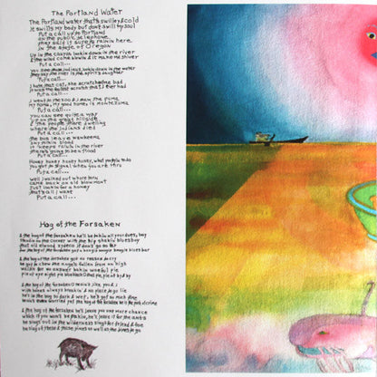 Various - Snockument - Songs By Michael Hurley (VINYL) | Mint (M) Mint (M)-