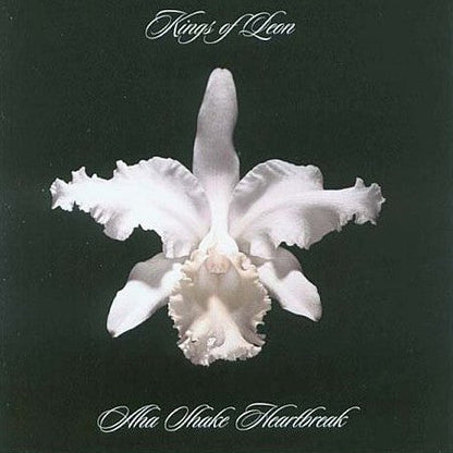 Kings Of Leon - Aha Shake Heartbreak | Mint (M) Mint (M)-