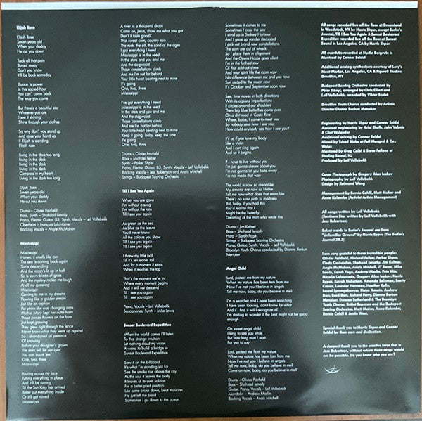 Leif Vollebekk - Revelation (VINYL) | Mint (M) Mint (M)-