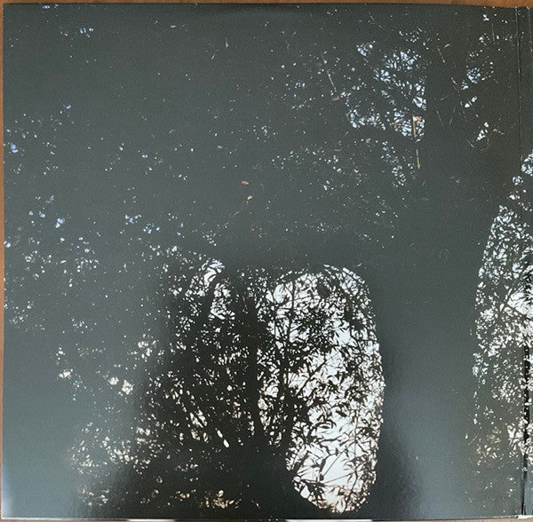 Leif Vollebekk - Revelation (VINYL) | Mint (M) Mint (M)-