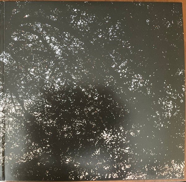 Leif Vollebekk - Revelation (VINYL) | Mint (M) Mint (M)-