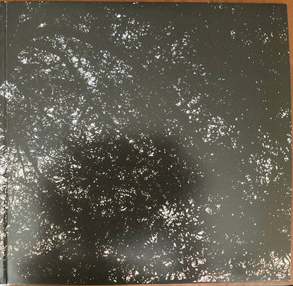 Leif Vollebekk - Revelation (VINYL) | Mint (M) Mint (M)-