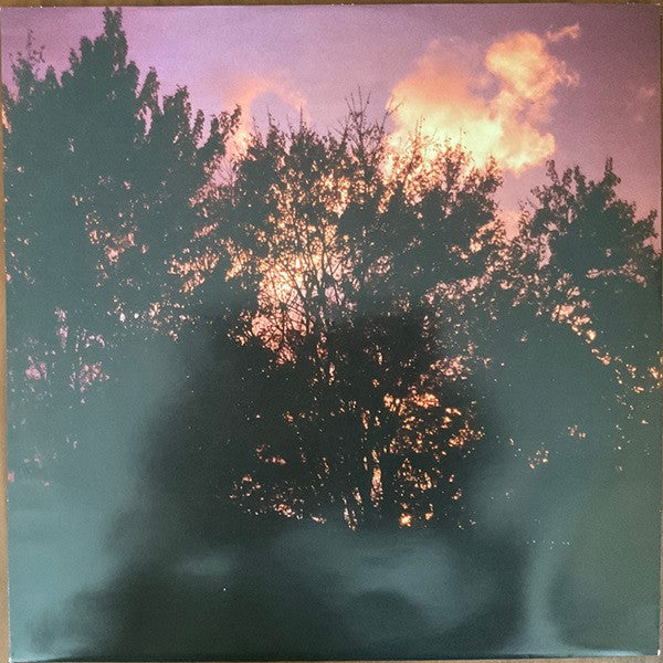 Leif Vollebekk - Revelation (VINYL) | Mint (M) Mint (M)-
