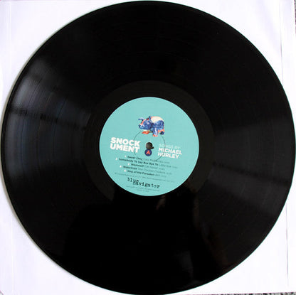 Various - Snockument - Songs By Michael Hurley (VINYL) | Mint (M) Mint (M)-
