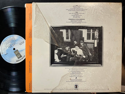 John Prine - Bruised Orange (VINYL LP ASYLUM 6E-139) | USED Excellent+ (EX+) Near Mint (NM)-