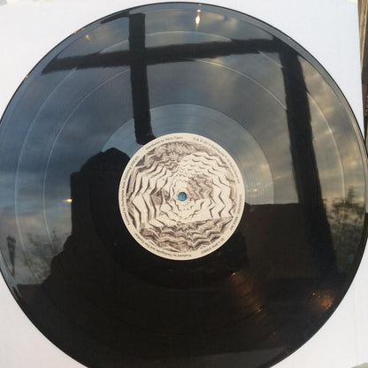 Darlingside - Birds Say (2xVINYL) | Near Mint (NM) Near Mint (NM)-