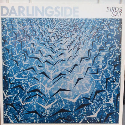 Darlingside - Birds Say (2xVINYL) | Near Mint (NM) Near Mint (NM)-