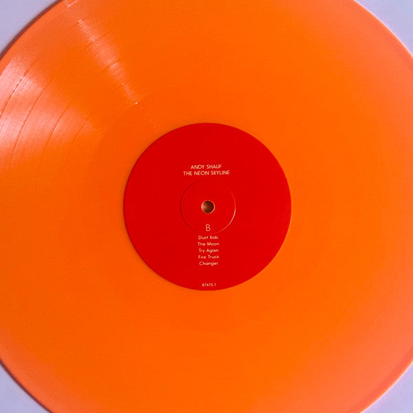 The Neon Skyline (VINYL) | Near Mint (NM) Near Mint (NM)-
