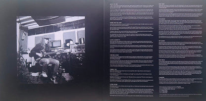 The Neon Skyline (VINYL) | Near Mint (NM) Near Mint (NM)-