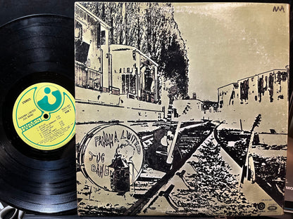 Panama Limited Jug Band - Panama Limited Jug Band (VINYL) | Near Mint (NM) Very Good (VG)-