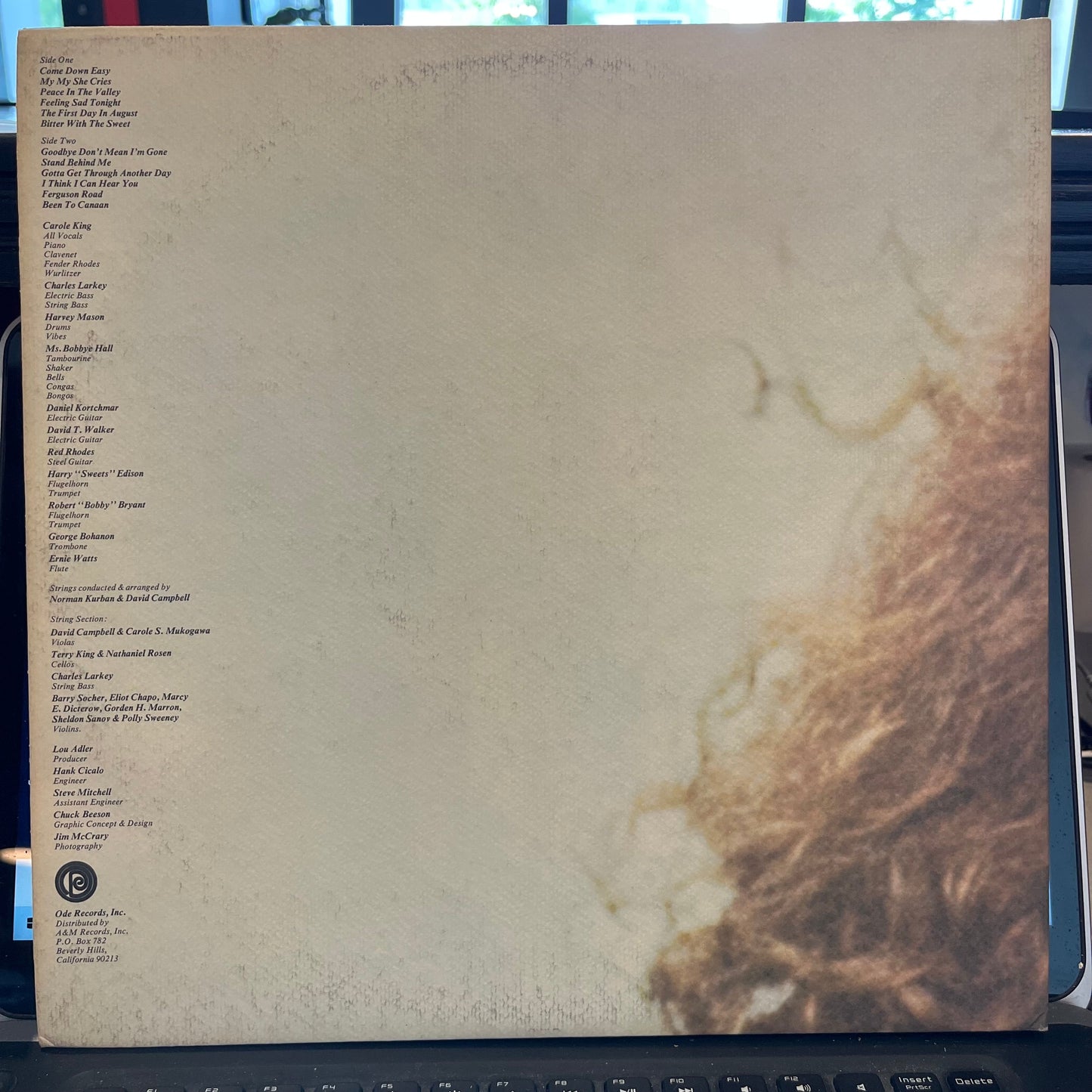 Carole King - Rhymes & Reasons | Near Mint (NM) Near Mint (NM)-
