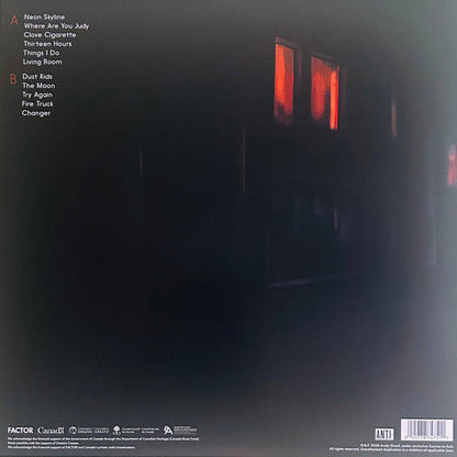 The Neon Skyline (VINYL) | Near Mint (NM) Near Mint (NM)-