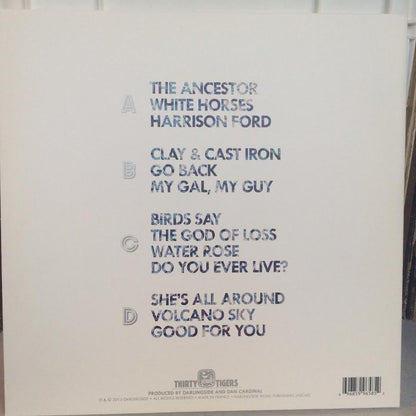 Darlingside - Birds Say (2xVINYL) | Near Mint (NM) Near Mint (NM)-
