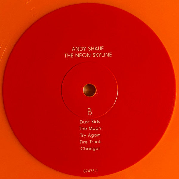 The Neon Skyline (VINYL) | Near Mint (NM) Near Mint (NM)-