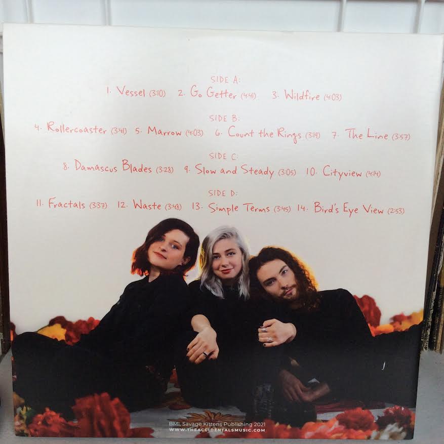 The Accidentals (4) - Vessel (2xVINYL) | Near Mint (NM) Near Mint (NM)-