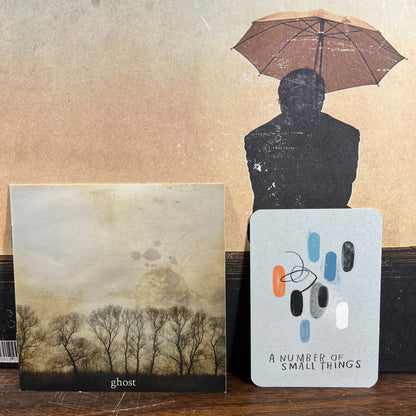 Radical Face - Ghost (VINYL) | Near Mint (NM) Near Mint (NM)-