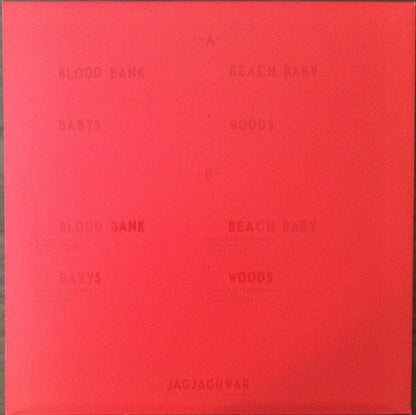 Bon Iver - Blood Bank | Mint (M) Mint (M)-