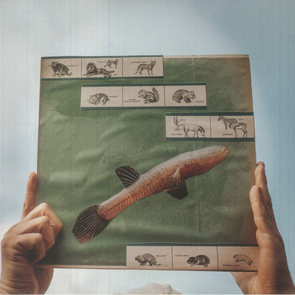 Cotton Jones - The River Strumming | Mint (M) Mint (M)-