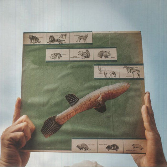 Cotton Jones - The River Strumming | Mint (M) Mint (M)-