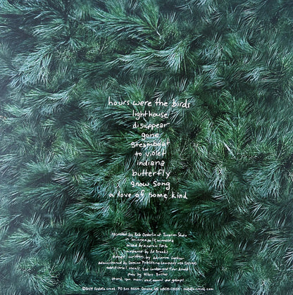 Adrianne Lenker - Hours Were The Birds | Mint (M) Mint (M)-