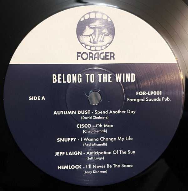 Various - Belong To The Wind | Mint (M) Mint (M)-