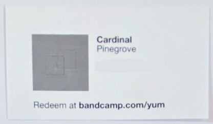 Pinegrove - Cardinal | Mint (M) Mint (M)-
