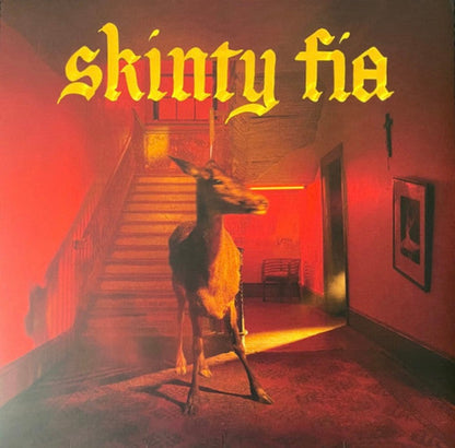 Fontaines D.C. - Skinty Fia (VINYL) | Mint (M) Mint (M)-
