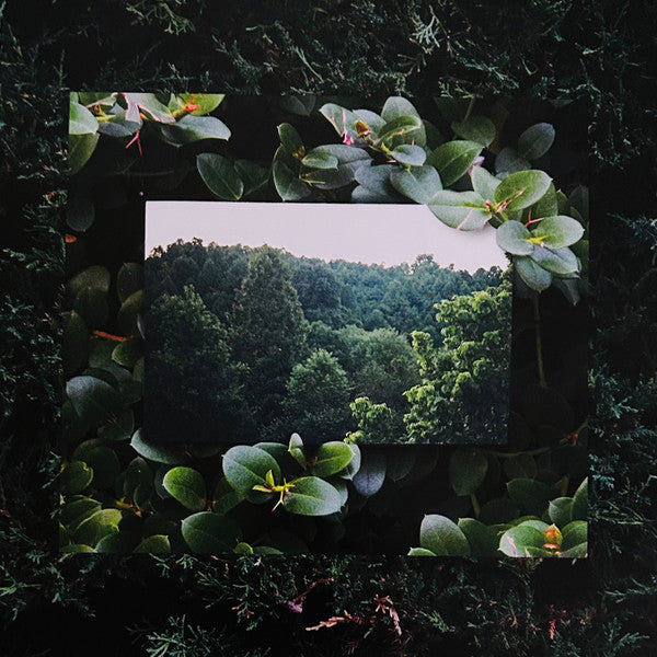Moses Sumney - Live From Blackalachia | Mint (M) Mint (M)-