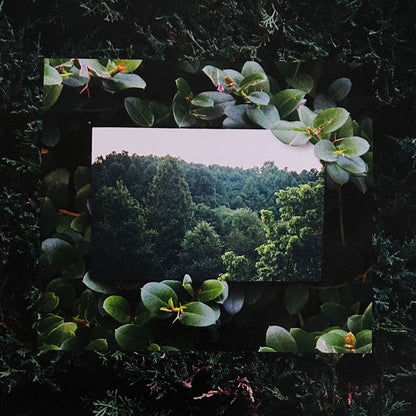 Moses Sumney - Live From Blackalachia | Mint (M) Mint (M)-